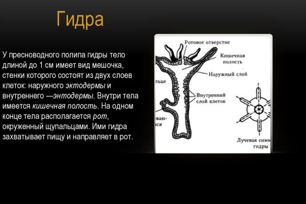 Сайт кракен через тор