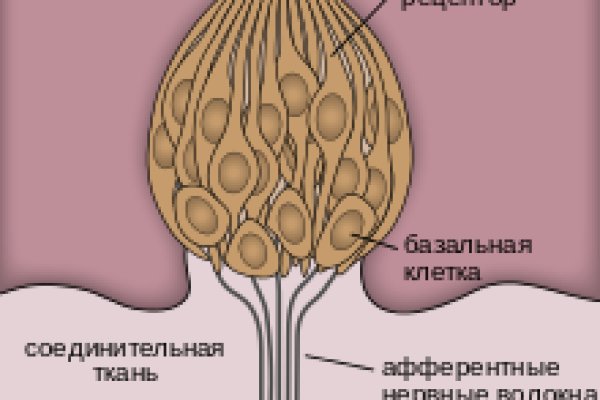 Как вернуть аккаунт кракен