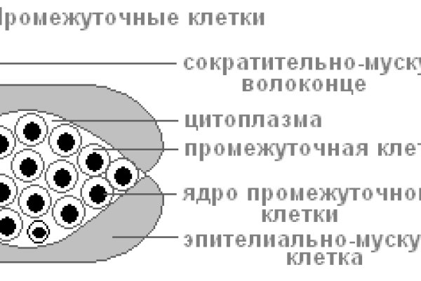 Как зарегистрироваться на сайте кракен