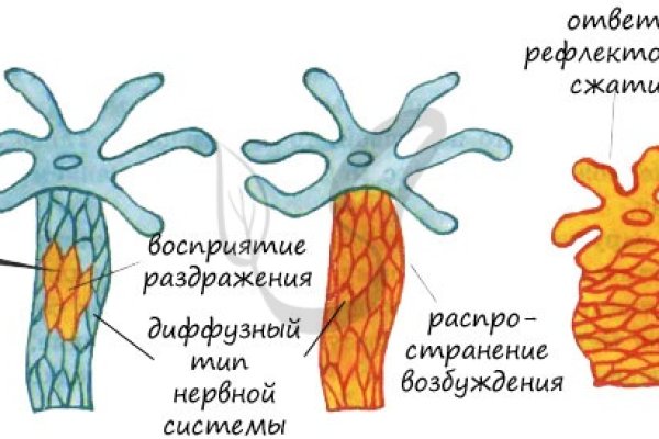 Кракен картель